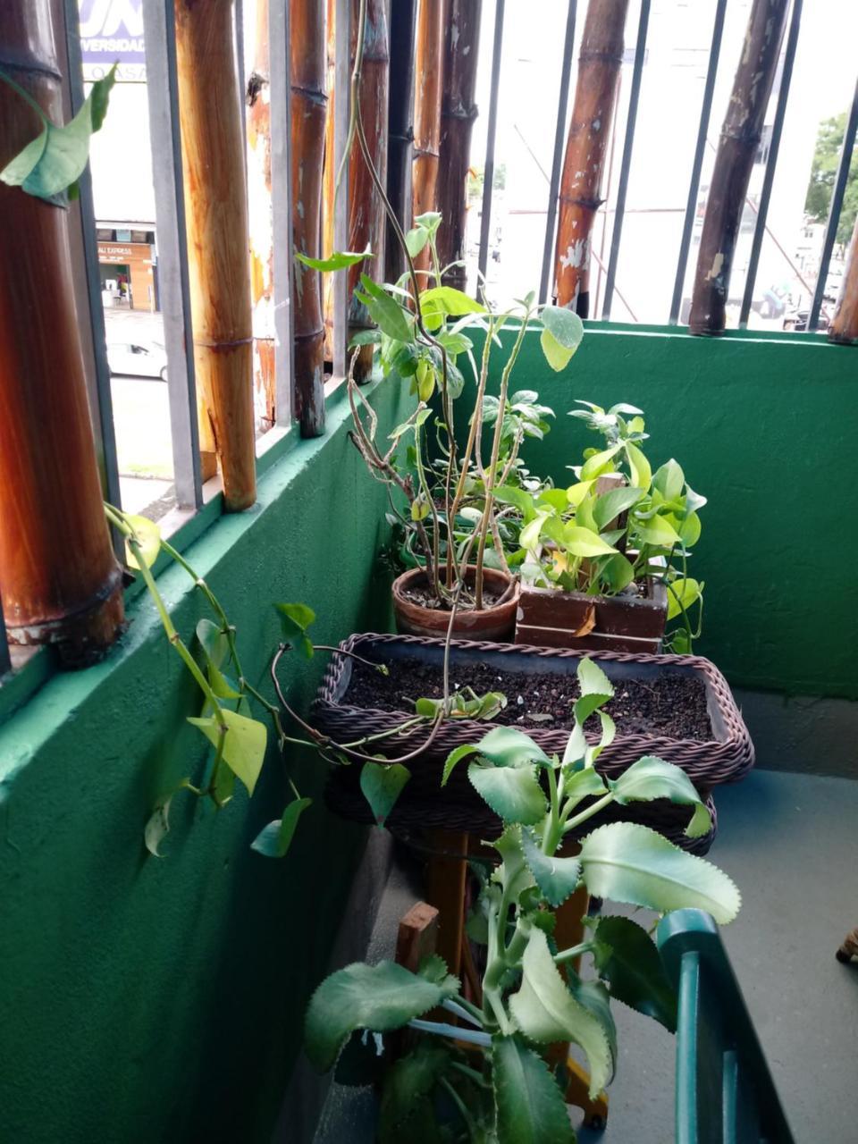 Hostel Freeway Бразилия Екстериор снимка